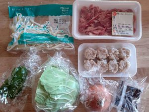 1117 ヨシケイ食材