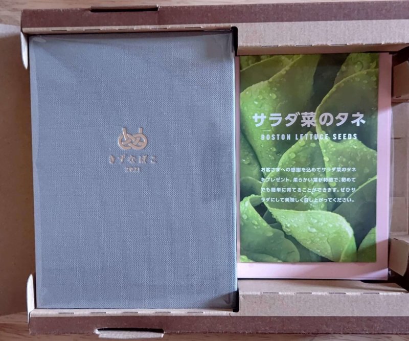 きずなばこ サラダ菜の種