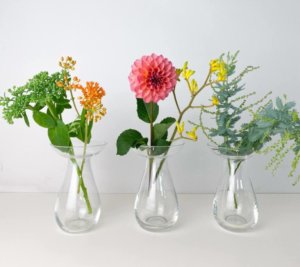 12月1日 お花のイメージ画像