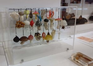 姫路科学館 きのこの展示