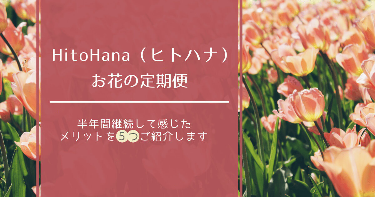 HitoHana　ひとはな　お花の定期便　メリット5つ　アイキャッチ画像