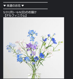 ひとはなお花の定期便のメルマガ画像